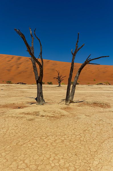 Sossusvlei Namibia (6) von Adelheid Smitt