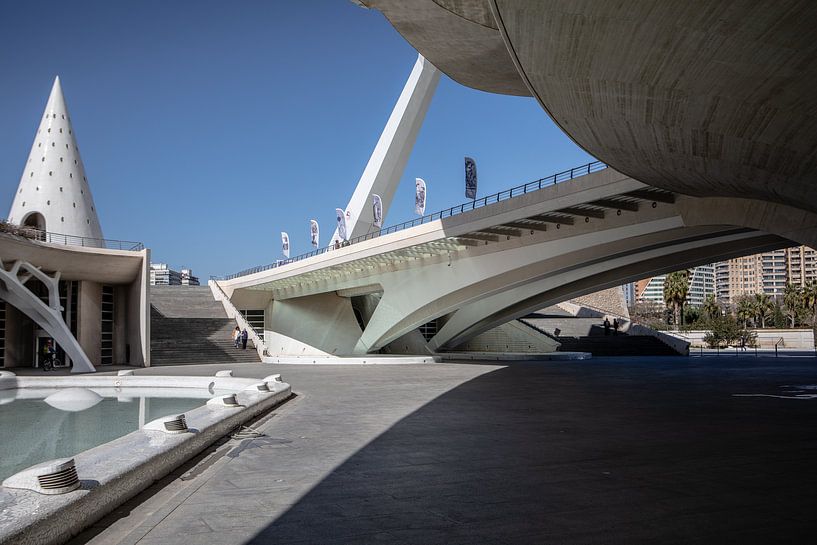 Valencia von Eric van Nieuwland