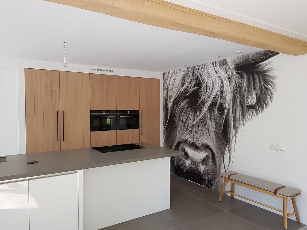 Portret Schotse Hooglander zwart-wit van Sandra van Kampen