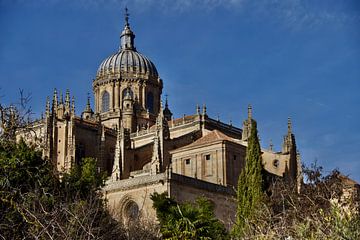 Salamanca van Jan Maur