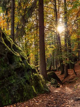 Quirlpromenade, Sächsische Schweiz – Goldener Wald von Pixelwerk