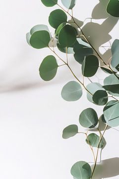 Eucalyptus tak van Poster Art Shop