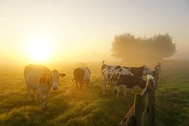 Landschap met dieren sur Dirk van Egmond