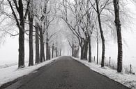 Landweg door een bevroren winters landschap in de IJsseldelta van Sjoerd van der Wal thumbnail
