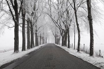 Landstraße durch eine gefrorene Winterlandschaft während eines kalten Wintermorgens von Sjoerd van der Wal Fotografie