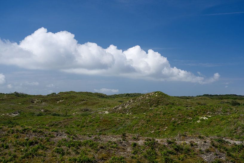 Landschap op Baltrum van Anja B. Schäfer