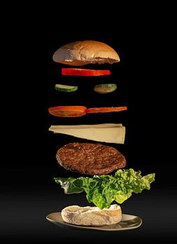 The flying hamburger.