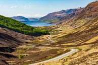 Winding road to Loch Maree in the Scottish highlands by Rob IJsselstein thumbnail