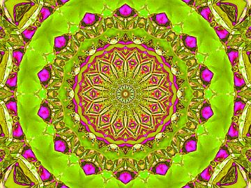 Magic Mandala (Magische Mandala in Lichtgroen) van Caroline Lichthart