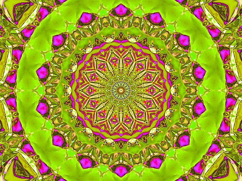Mandala magique (vert clair) par Caroline Lichthart