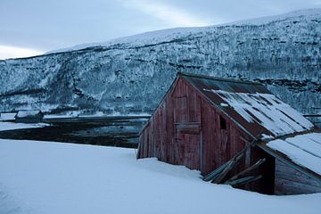 Houten chalet bij fjord in Hansness Noord Noorwegen van Dennis Wierenga