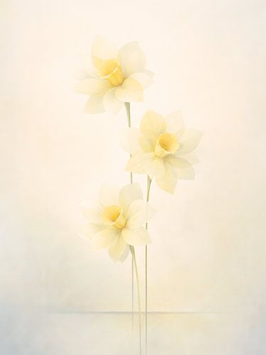 Ethereal Yellow Narcissus Trio In Soft Light
