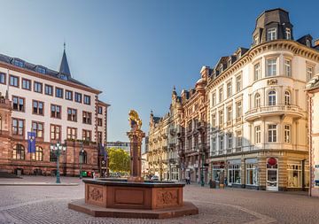 Marktbrunnen am Schlossplatz von Wiesbaden von Christian Müringer
