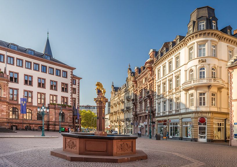 Marktbrunnen am Schlossplatz von Wiesbaden von Christian Müringer