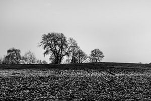 Winterlandschaft in Schwarz und Weiß