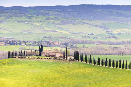 Frühling im Val d'Orcia