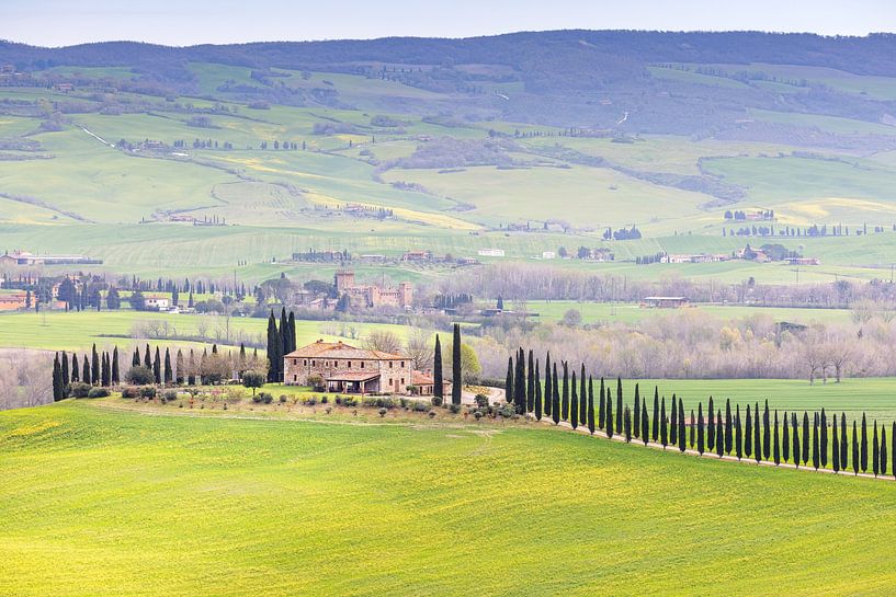 Frühling im Val d'Orcia von Dirk Rüter