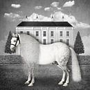 A Dappled Gray Stallion (in such a strange landscape) van Marja van den Hurk thumbnail