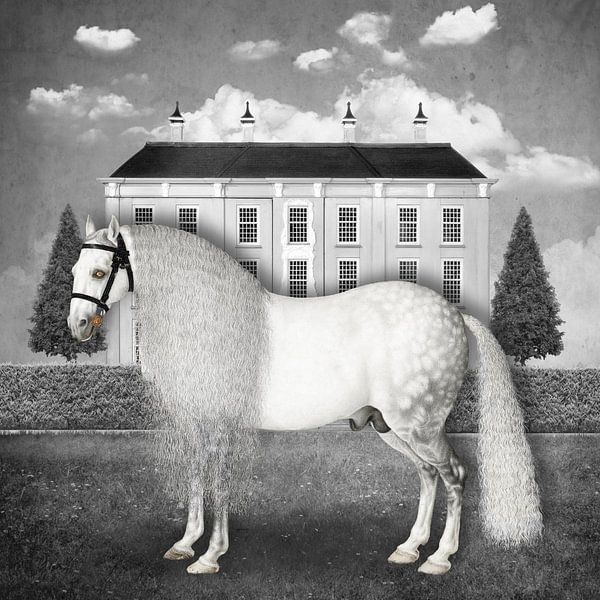 A Dappled Gray Stallion (in such a strange landscape) van Marja van den Hurk