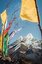 Tibetaanse vlaggen in de Himalaya met uitzicht op Mount Ama Dablam van Thea.Photo thumbnail