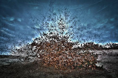 Beekhuizerzand met Pep Ventosa techniek