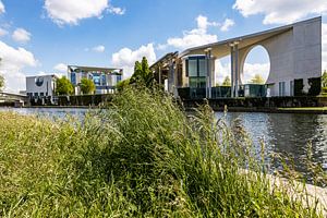 Grassbüschel am Berliner Bundeskanzleramt