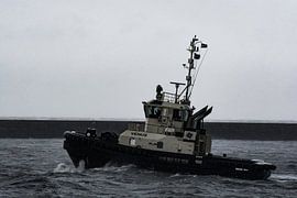 Der Schlepper pflügt durch Sturm und Regen IJmuiden. von scheepskijkerhavenfotografie