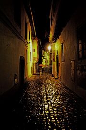 rain street in Cesna krumlov by Helmuth Houtermans