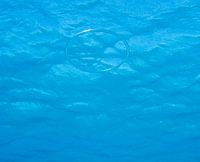 Underwater Ring