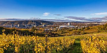 Wijngaarden en de MHPArena in Bad Cannstatt - Stuttgart van Werner Dieterich