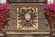 Wappen am Rathaus, Quedlinburg; Harz von Torsten Krüger Miniaturansicht