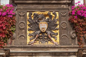 Wappen am Rathaus, Quedlinburg; Harz von Torsten Krüger