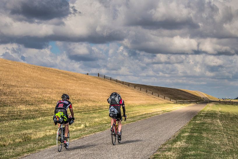 Fietsen langs de Friese Waddendijk in de zomer von Harrie Muis