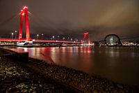 Rotterdam Willemsbrug