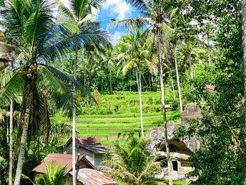Het landschap bij de Kunung Kawi tempel