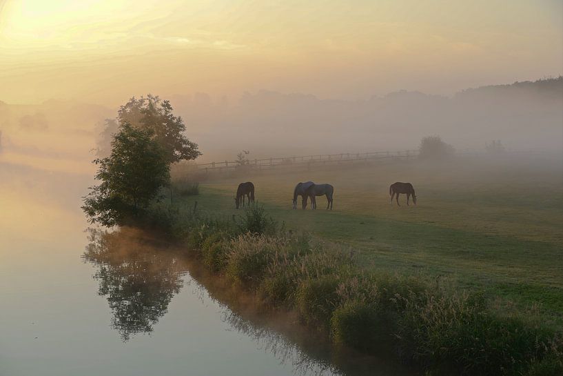 Ruhr meadow in the morning by Bernhard Kaiser
