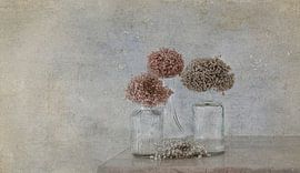 Glass and dried flowers by Marie-Anne Stas