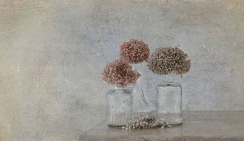 Glass and dried flowers
