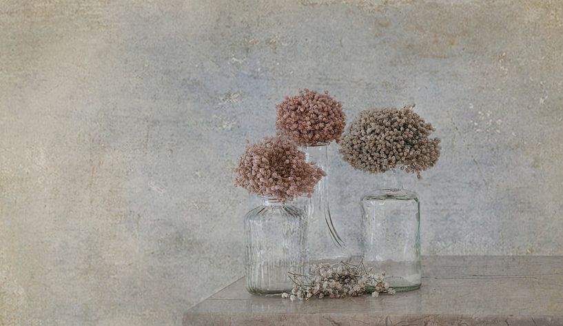 Glass and dried flowers par Marie-Anne Stas
