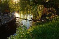Vroege ochtend op het kanaal