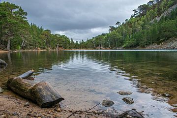 Schottland - An Lochan Uaine - Der grüne See von Rick Massar
