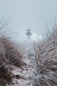 Lighthouse Visions - Die schöne Küstenlandschaft am Meer