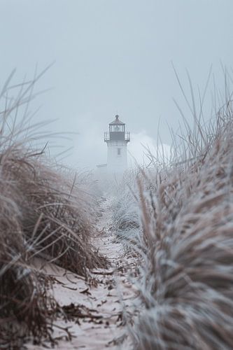Lighthouse Visions - Le magnifique paysage côtier au bord de la mer