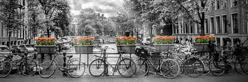 AMSTERDAM Herengracht | Panorama van Melanie Viola