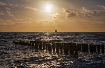 Zoutelande zeilbootje van MSP Canvas