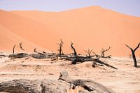Deadvlei Namibië