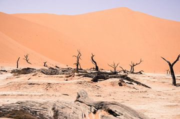 Deadvlei Namibië van Maurits Kuiper