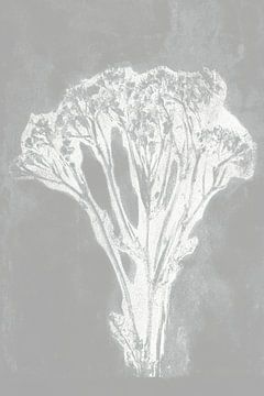 Abstrakte Blumen im Retro-Stil. Moderne botanische minimalistische Kunst in Grau und Weiß von Dina Dankers