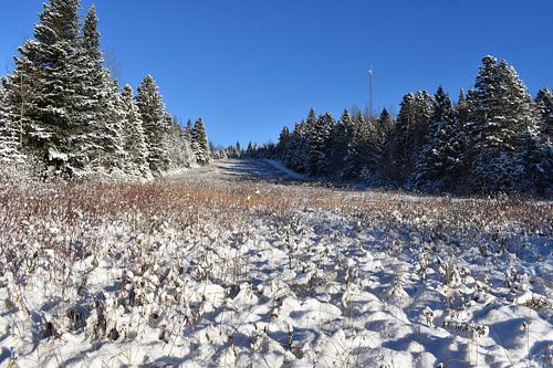 Der erste Schnee im Herbst