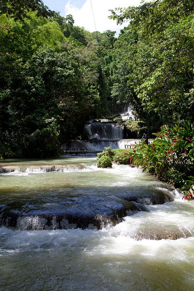 YS Falls - Jamaïque par t.ART